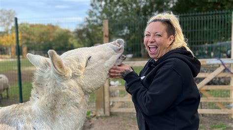 jodie marsh onlyfans|Jodie Marsh: OnlyFans helps pay for my Essex animal sanctuary.